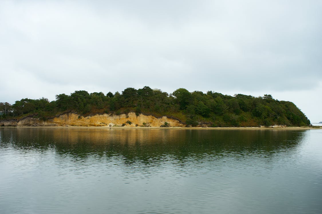 island with trees