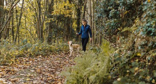 Lady walking dog in forest