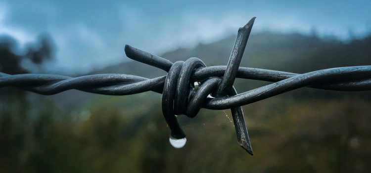 A Life Full Of Confusion And Overwhelm—How Can We Do Better?