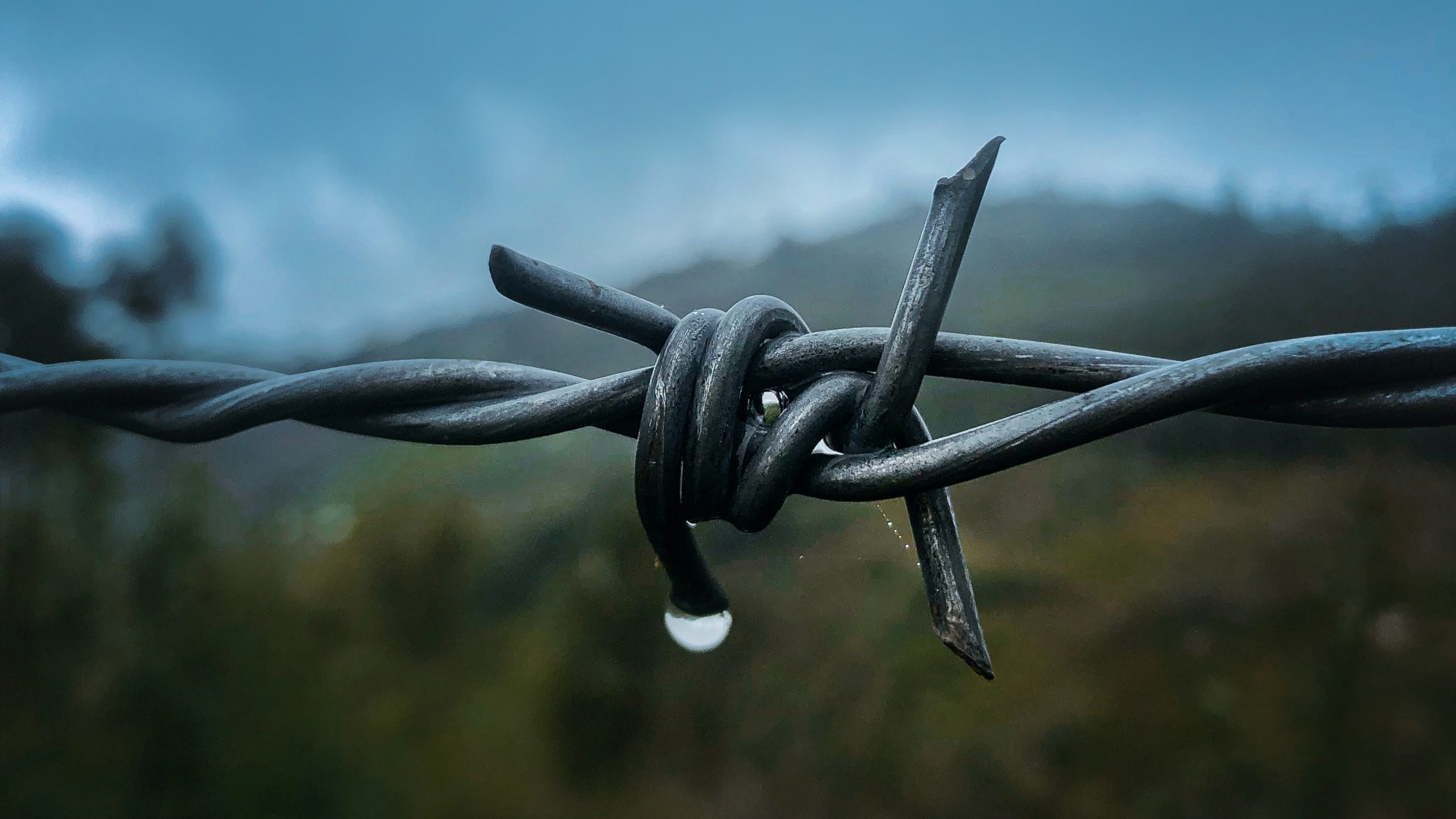 barbed wire